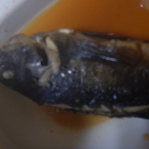 テリ メバル の煮付け 冷凍ok レシピ 作り方 By Kanappe1010 楽天レシピ テリ メバル の煮付け 冷凍ok レシピ 作り方 By Kanappe1010 楽天レシピ